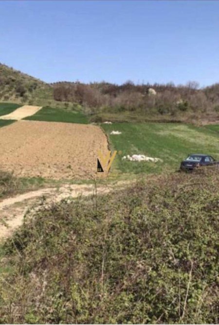 Gjiri Lalezit, shes toke 7.000 m² 300.000 Euro (gjiri lalzit)