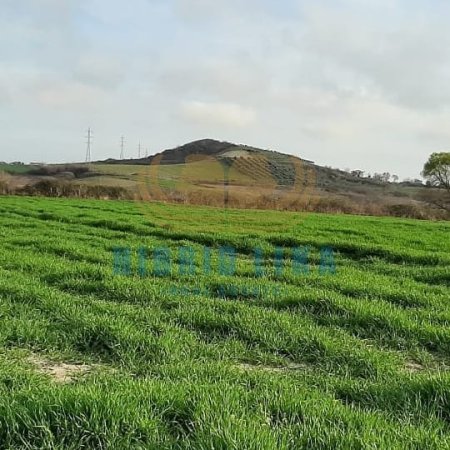 Kavaje, shes toke 8.700 m²  (Golem)