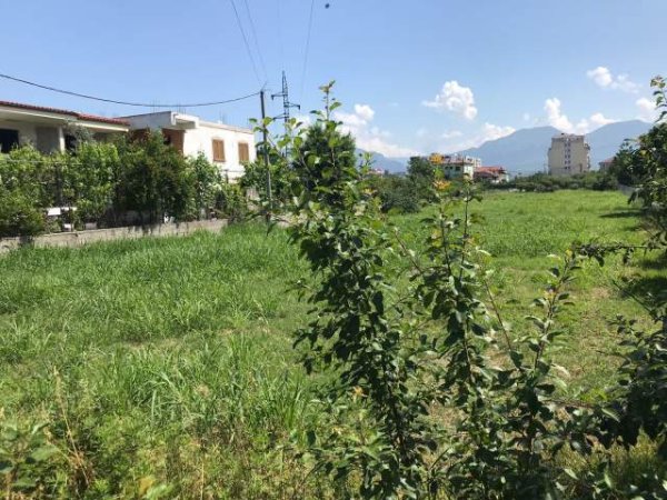 Tirane, ofert truall 1.000 m² 82.000 Euro (Rruga Liria Kamez)