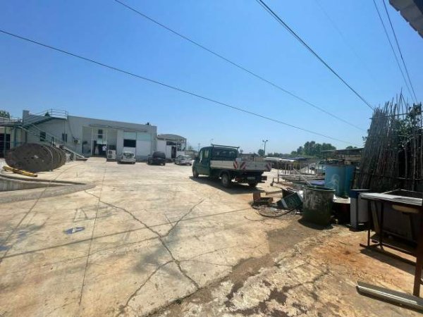 Tirane, shes magazine Kati 0, 3.500 m² 370.000 Euro (Fushe Preze)
