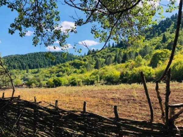Kolonje, shes toke 7.061 17m²  Euro (VREPCKE)
