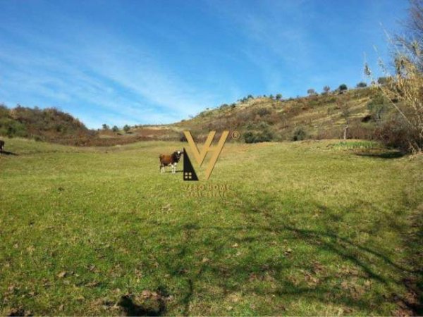 Tirane, shes truall 13.600 m² 1.500.000 Euro (FSHATI STERMAS)