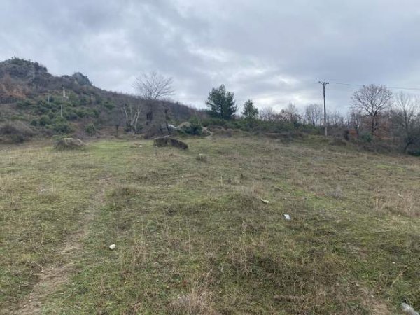 Tirane, shes toke 4.500 m² 135.000 Euro (Petrele)