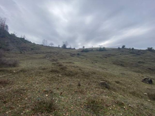 Tirane, shes toke 4.500 m² 135.000 Euro (Petrele)