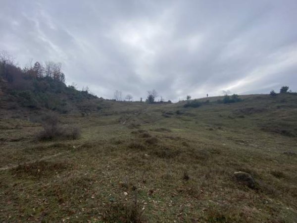 Tirane, shes toke 4.500 m² 135.000 Euro (Petrele)