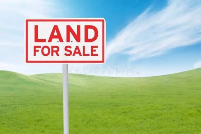 Durres, shes toke 6.500 m² 40 Euro/m2 (Prane Eco Park Durres (Porto Romano))