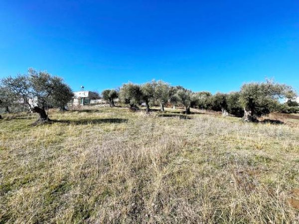 Tirane, shes truall 10.300 m² 1.236.000 Euro (NE FARKE E VOGEL)