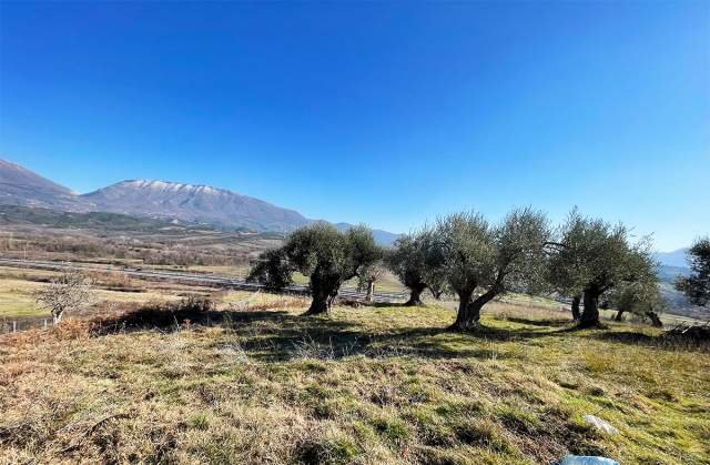 Tirane, shes truall 10.300 m² 1.236.000 Euro (NE FARKE E VOGEL)