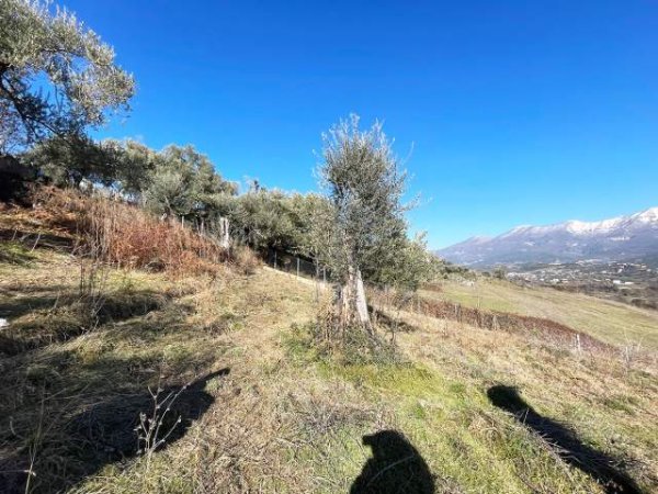 Tirane, shes truall 10.300 m² 1.236.000 Euro (NE FARKE E VOGEL)