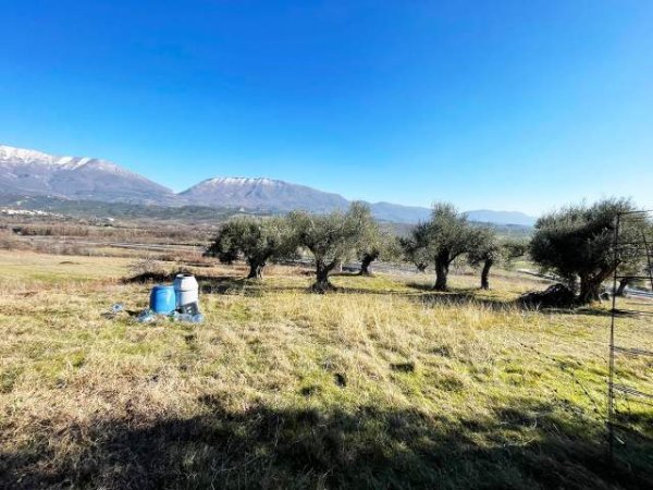Tirane, shes truall 10.300 m² 1.236.000 Euro (NE FARKE E VOGEL)
