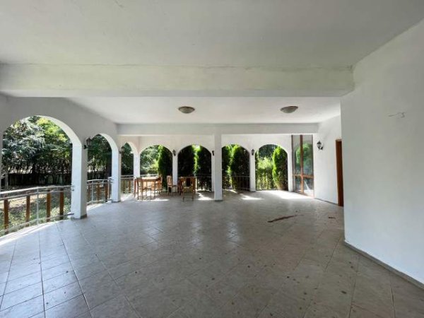 Tirane, shes truall + godine 1.412 m² toke + 247 m2 godine (385.000 Euro) (NË BERZHITE, PRANË RESORTIT PALMANOVA)