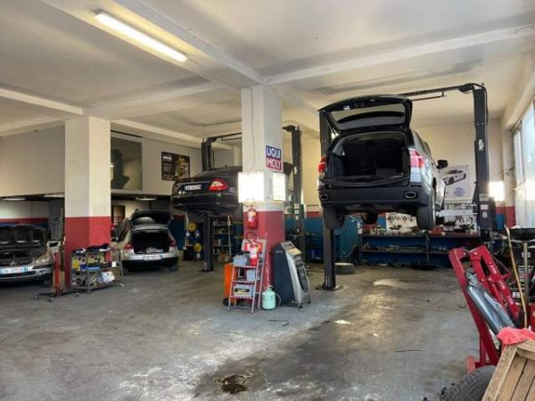 Tirane, shitet ambjent biznesi Kati 0, 255 m² 408.000 Euro (Audostrata Tiran-Elbasan rrethrrotullimi Selit)