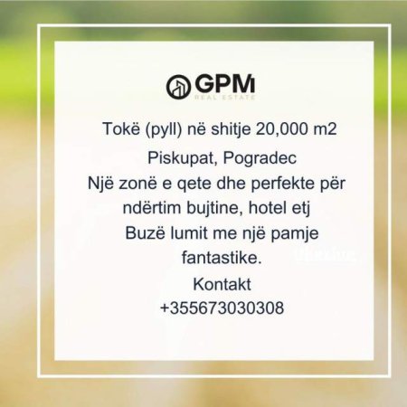 Pogradec, shes pyll 20.000 m² 40 Euro/m2