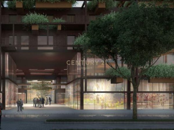 Tirane, shitet ambjent biznesi Kati 1, 225 m²  (Rruga e Kavajës Tirana, Albania)