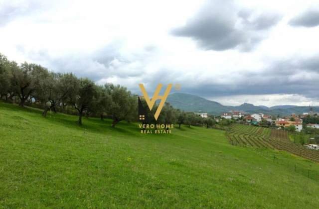 Tirane, shes truall 5.000 m² 550.000 Euro (LUNDER)