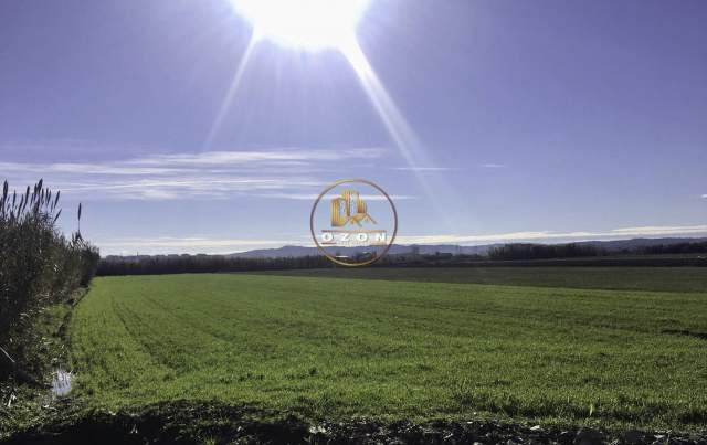 Fier, shes toke 1.000.000 m² 3.8 Euro/m2 (Darzeze)
