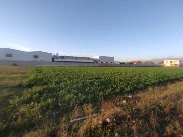 Tirane, shes toke 4.000 m² 400.000 Euro (Bërxullë, prane MEGATEK, Rr. Rinasit)