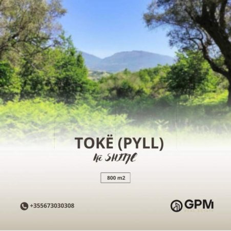 Tirane, shes toke 800 m² 120 Euro/m2 ne Petrele