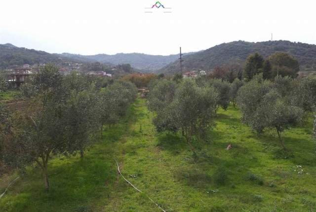 Tirane, shes toke 3.000 m² 75.000 Euro (ndroq)