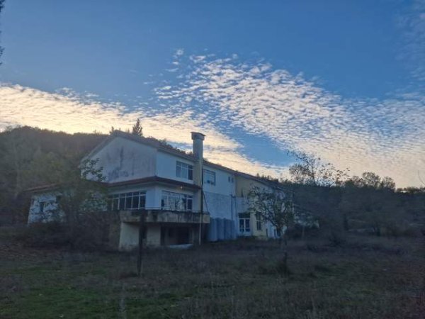 Peze e Madhe, Godinë 3-katëshe sip 720m2 + 11.380m2 toke - Hotel | Agro-Turizëm | Azil për të Moshuarit | Shkollë për Kafshët etj..