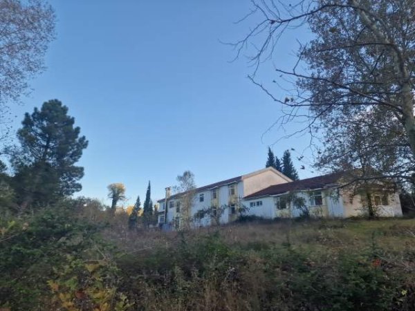Peze e Madhe, Godinë 3-katëshe sip 720m2 + 11.380m2 toke - Hotel | Agro-Turizëm | Azil për të Moshuarit | Shkollë për Kafshët etj..