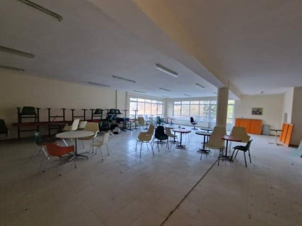 Peze e Madhe, Godinë 3-katëshe sip 720m2 + 11.380m2 toke - Hotel | Agro-Turizëm | Azil për të Moshuarit | Shkollë për Kafshët etj..