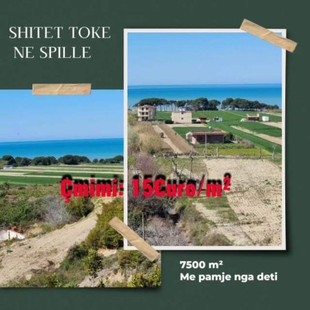 Spille, shes toke ne bregdet 7.500 m² 112.500 Euro (Spille)