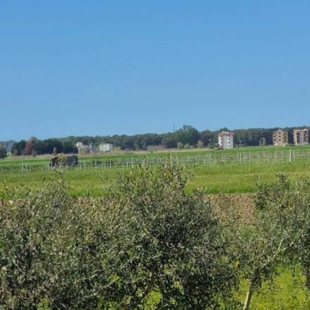 Qerret, shes 3.500 m² 122.500 Euro (Qerret)