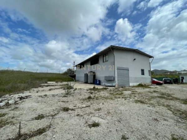 Tirane, shitet ambjent biznesi Kati 1, 2.000 m² (Peze Helmes)