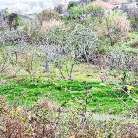 Golem, shes toke 800 m² 42.000 Euro (Kryemedhenj)