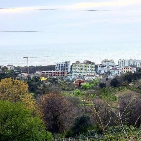 Golem, shes toke 800 m² 42.000 Euro (Kryemedhenj)