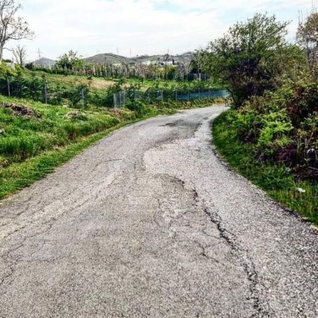 Golem, shes toke 800 m² 42.000 Euro (Kryemedhenj)