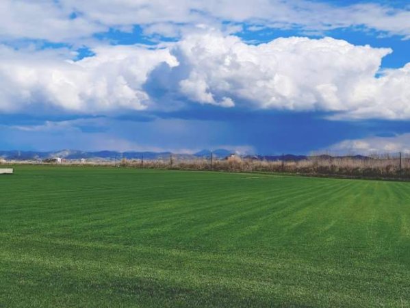 Durres, shes toke 10.000 m² 18 Euro/m2