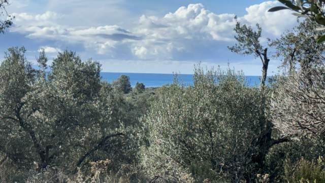 Sarande, shes truall ne bregdet 2.437 m² 414.120 Euro (Borsh)