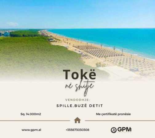Spille, shes toke ne bregdet 14.000 m² 70 Euro/m2