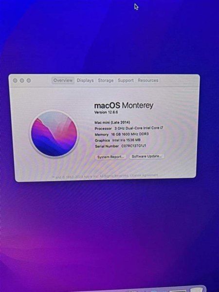 Apple Mac Mini 250 Euro