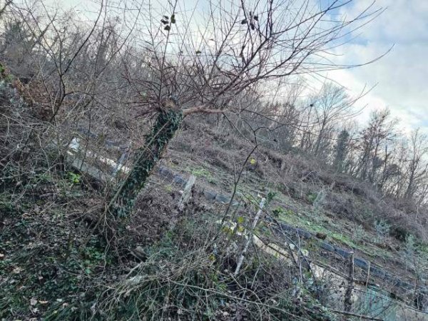 Tirane, shes toke 4.000 m² 190.000 Euro prane Pishina Tagan