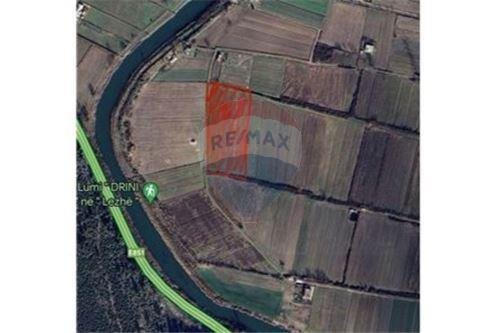 Lezhe, shes toke 7.500 m² 120.000 Euro