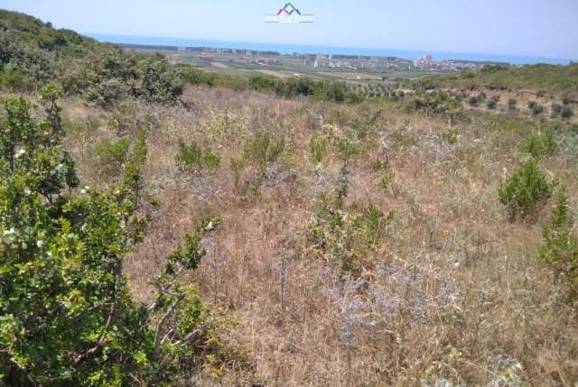 Kavaje, shes toke 5.000 m² 80.000 Euro (spille)