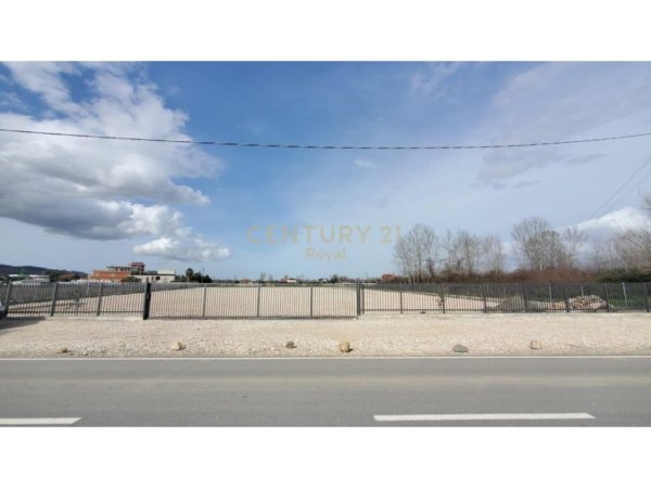 JEPET ME QIRA TOKE PRANE AEROPORTIT TE RINASIT!royal89003