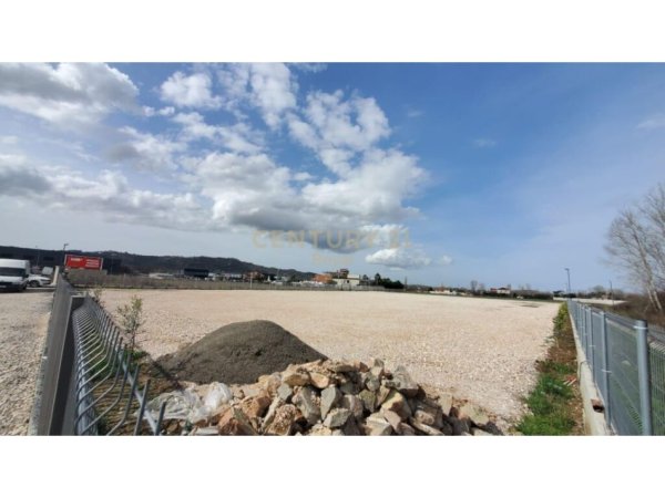 JEPET ME QIRA TOKE PRANE AEROPORTIT TE RINASIT!royal89003