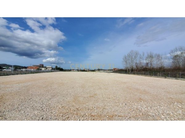 JEPET ME QIRA TOKE PRANE AEROPORTIT TE RINASIT!royal89003