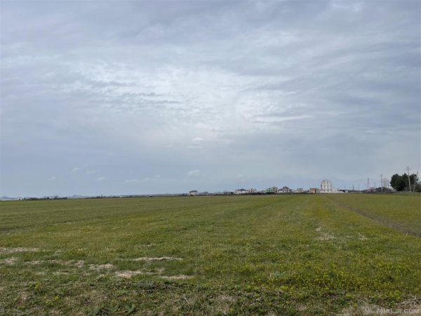 Qera, Tokë, Vaqarr, Tiranë – 800€ | 2500 m²