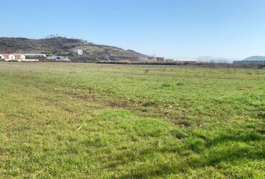 Qera, Tokë ,Vaqarr, Tiranë – 1500€ | 5000 m²