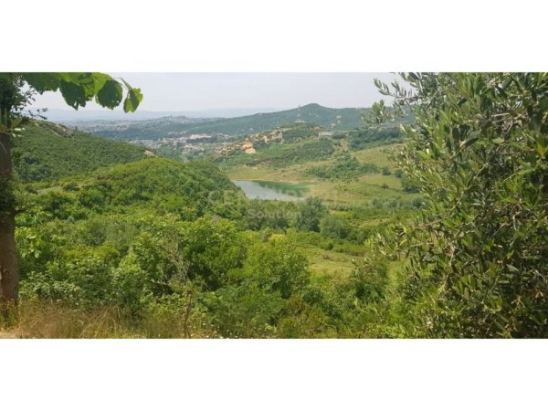 SHITET 2000M2 TOKE PEMTORE NE LINZE 150 RRENJE ULLINJ +100 RRENJE LAJTHI - 90.000 Euro!!