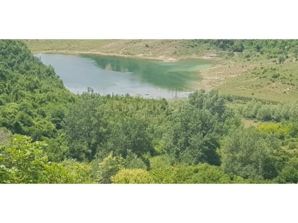 SHITET 2000M2 TOKE PEMTORE NE LINZE 150 RRENJE ULLINJ +100 RRENJE LAJTHI - 90.000 Euro!!