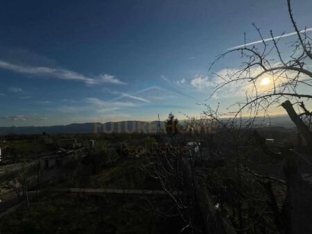 Shitet, Tokë, Priskë. UNA39168