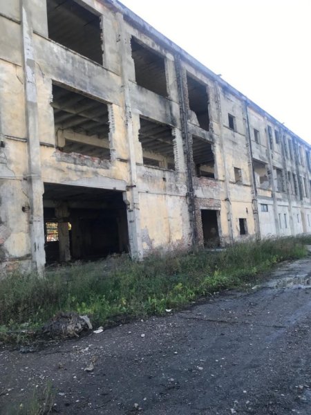 Godinë biznesi në shitje, Shkozet