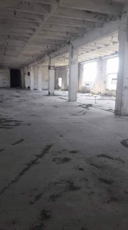 Godinë biznesi në shitje, Shkozet