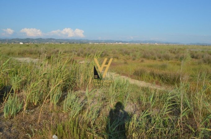 SHITET TOKE 3.300 M2 TE AUTOSTRADA DURRES – RROGOZHINE 150.000 EURO